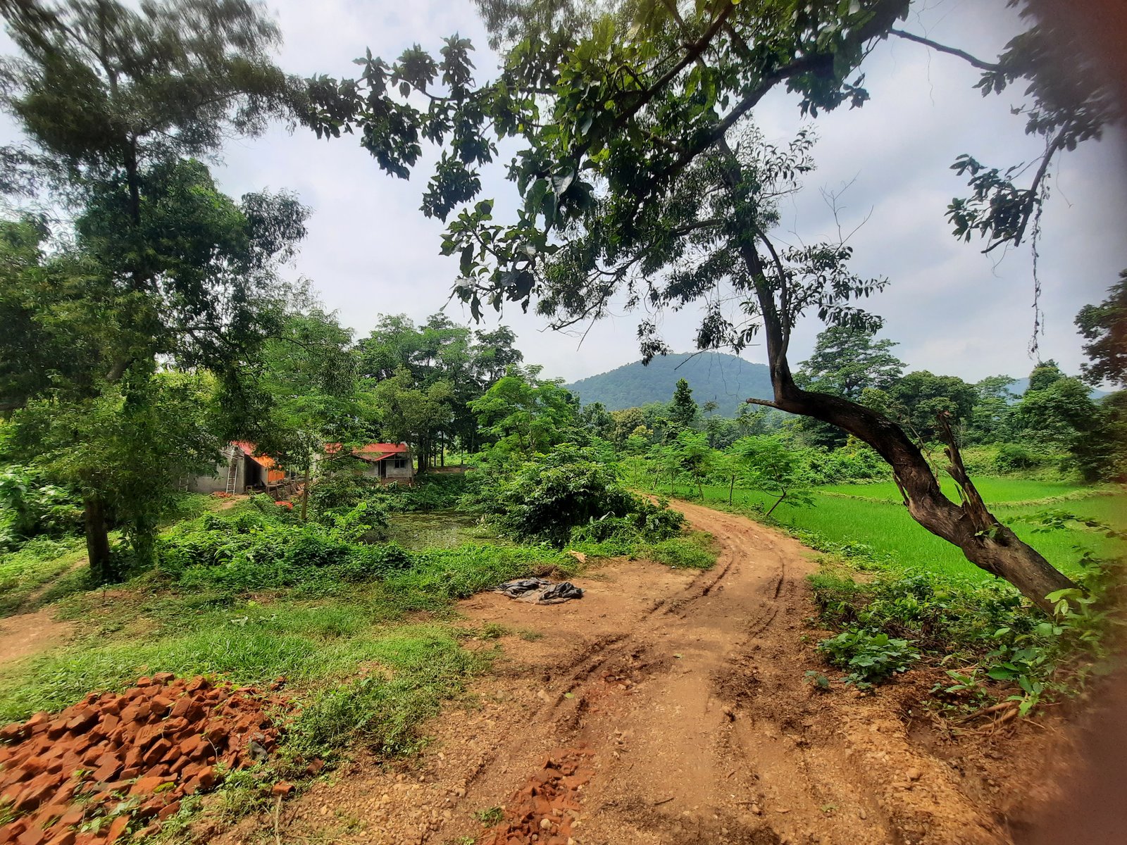 Bon Mayuri Homestay