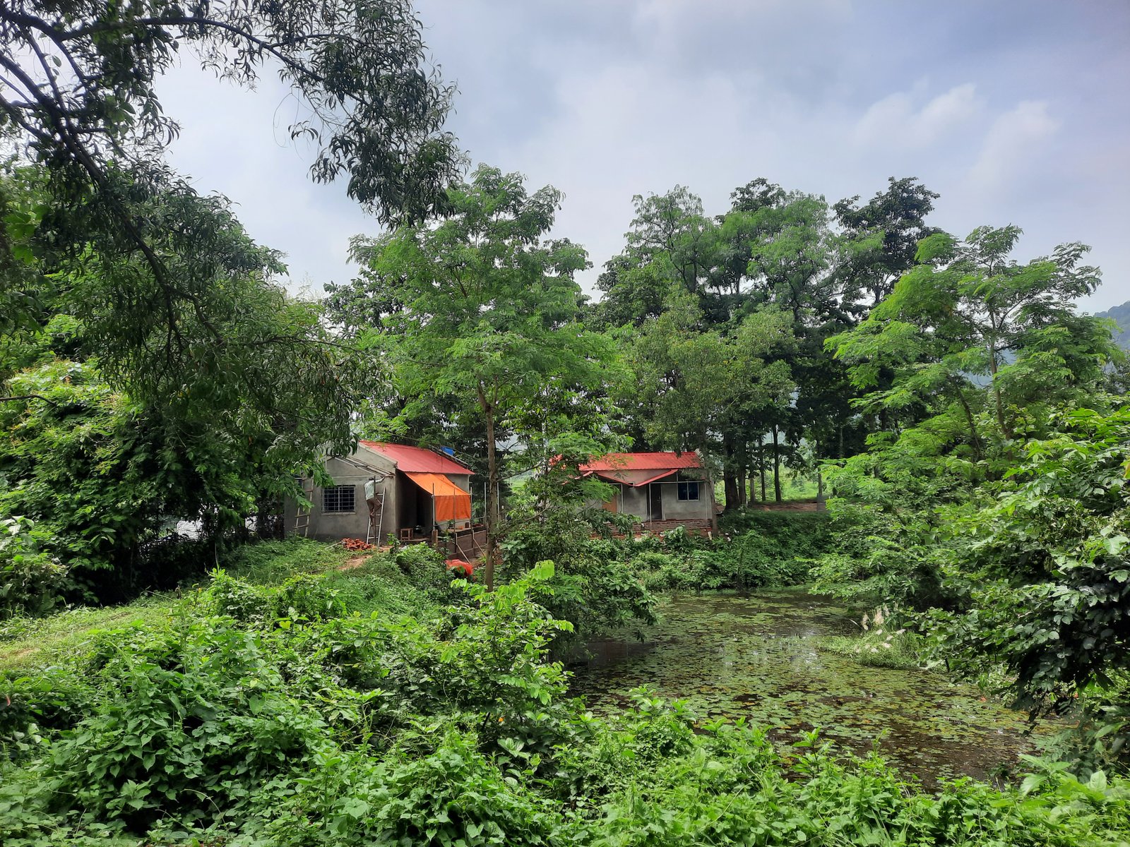 Bon Mayuri Homestay nature stay