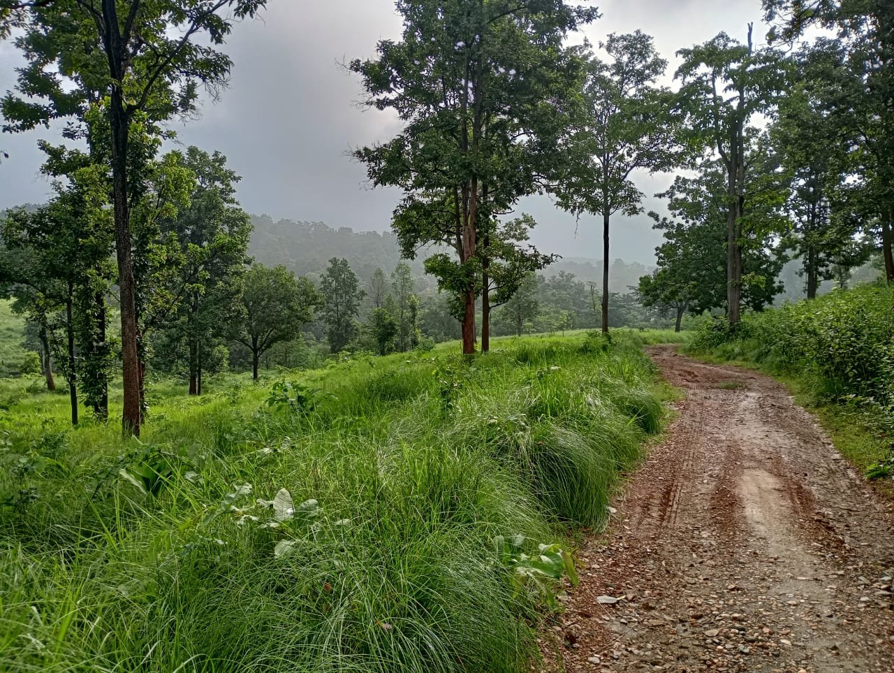 Karam Hill View Homestay Image 10