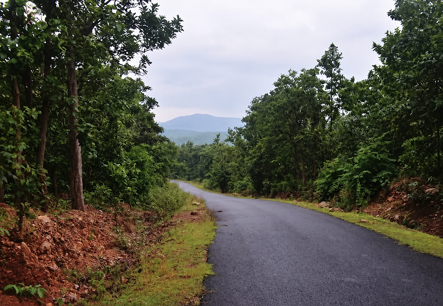 Kankrajhore Forest